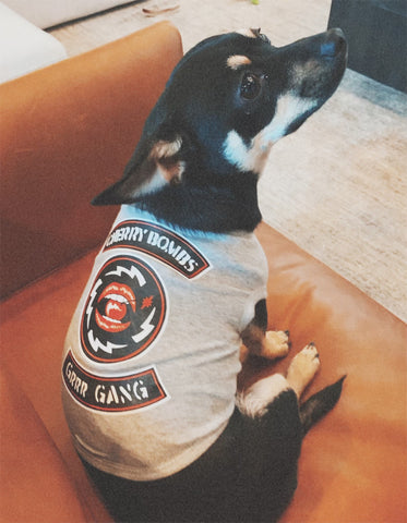 Doggie T-Shirt